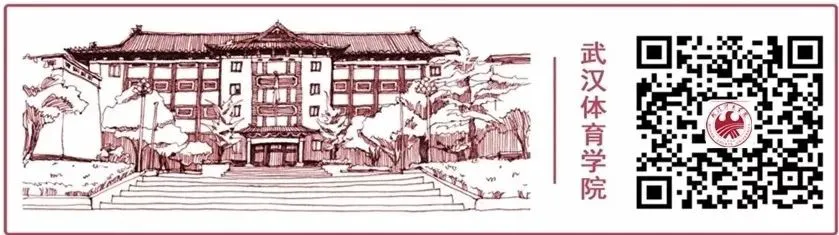 绳梯训练篮球_2